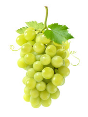 Wall Mural - fresh green grape cluster isolated on white background.