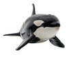© jirayut - Orca, Killer whale ((Orcinus orca)