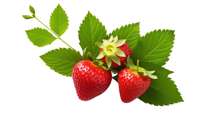 Wall Mural - Top view of strawberry, organic isolated on white background.