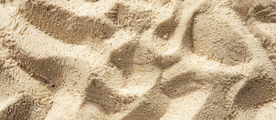 Poster - Beach sand texture as a backdrop for a copy space image