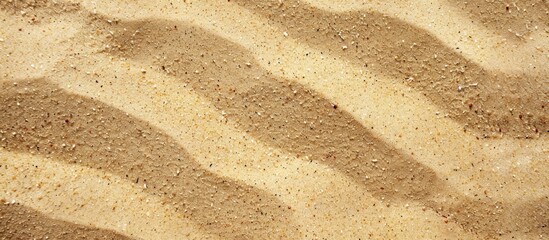 Poster - Beach sand texture as a backdrop for a copy space image