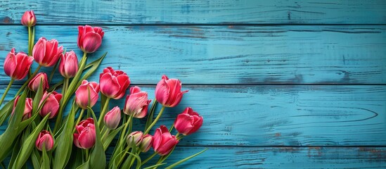 Poster - Blue wooden background makes a stunning backdrop for the beautiful tulips leaving ample copy space image