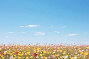 Poster - Flower field backgrounds landscape.