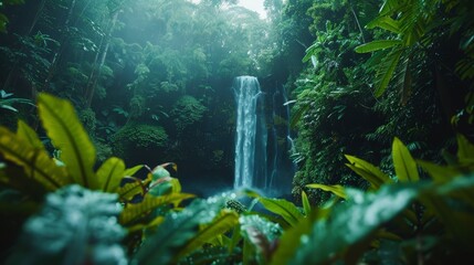 Poster -  A sizable waterfall, nestled amidst a lush forest teeming with vibrant green flora, feeds into a tranquil blue pool