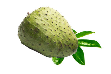 Wall Mural - Soursop Fruit and leaves isolated on Transparent Background