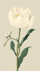 Poster - Wood block print illustration of white tulip blossom flower petal.