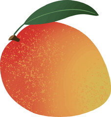 color mango fruit illustration icon