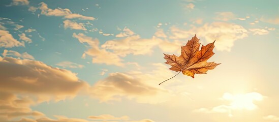 Poster - Autumnal atmosphere with a sunlit sky showing a solitary dry maple leaf drifting in the air offering space for copy in the image