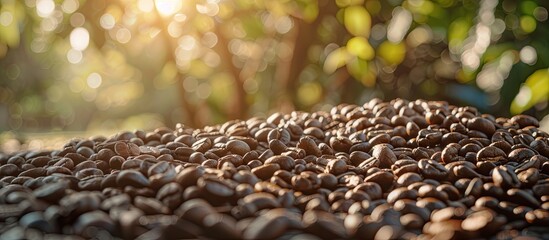 Aufkleber - Close up of a pile of sunlit brown coffee beans with copy space image