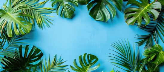 Aufkleber - Top view flat lay composition featuring tropical palm and monstera leaves on a blue background with a clipping path isolated for a copy space image enhancing a tropical and jungle aesthetic
