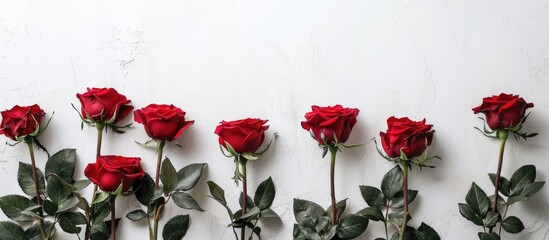 Canvas Print - Bouquet of red roses displayed on a white backdrop with copy space image