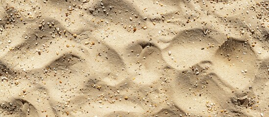 Poster - Beach sand texture as a backdrop for a copy space image