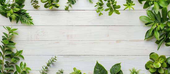 Fototapete - Top view of a border frame made of green leaves and plants on a white wooden background with copy space image