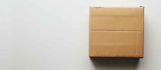 Poster - Brown cardboard box displayed on white background with copy space image available
