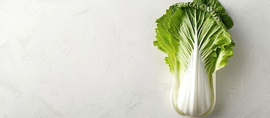 Wall Mural - Chinese cabbage on a blank white backdrop with copy space for text or design