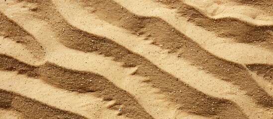 Poster - Beach sand texture as a backdrop for a copy space image