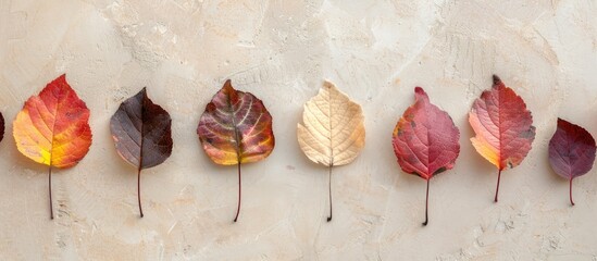 Aufkleber - Autumn leaves arranged on a beige surface creating a flat lay composition with copy space for text