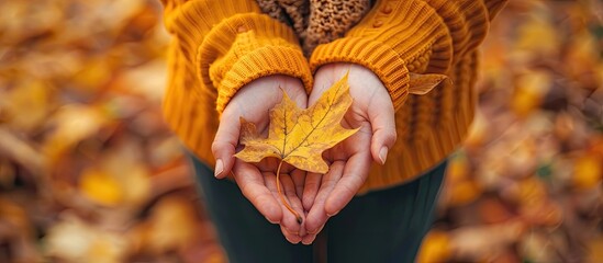 Poster - Close up image of girl s hands holding autumn leaves in a forest Background perfect for incorporating copy space image