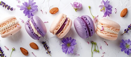 Poster - Top view of colorful almond cookies cake macaron or macaroon with violet spring flowers on a white background offering copy space image