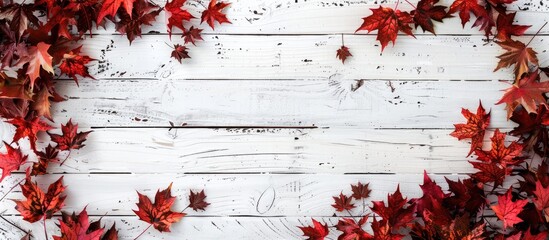 Poster - Autumn leaves frame a white wooden background with copy space image