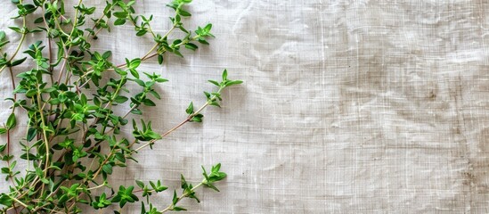 Aufkleber - Blooming fresh thyme herb and lemon thyme plants on a linen background with healthy greens creating an ideal copy space image