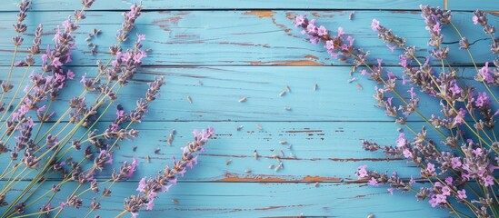 Poster - Blue wooden table background with pink lavender flowers providing copy space