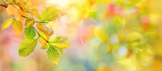 Aufkleber - Vibrant autumn backdrop featuring a branch with yellow green leaves against a blurred backdrop of yellow green and red leaves with clear copy space image