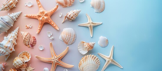 Leinwandbilder - A top view flat lay composition showing a summer theme with lovely starfish and sea shells arranged on a colored table perfect for a copy space image