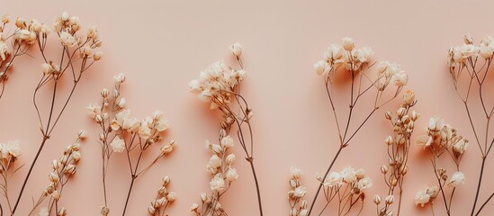 Aufkleber - Flat lay composition with dried flowers arranged on a soft pink background offering a minimalist aesthetic with ample copy space for customization