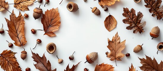 Aufkleber - Brown dried leaves and acorns arranged into an autumn composition on a white background with copy space image for fall Halloween harvest or Thanksgiving themes in a flat lay style from top view