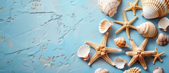 Leinwandbilder - A top view flat lay composition showing a summer theme with lovely starfish and sea shells arranged on a colored table perfect for a copy space image