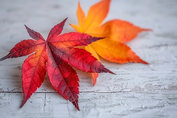 Two vibrant red and orange maple leaves resting on weathered white wood