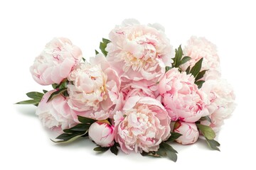 Sticker - Bouquet of peony blossom flower plant.