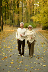 Wall Mural - Mature couple walking in the autumn park