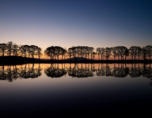 Wall Mural - Silhouette of a tree line reflected in a lake at dusk