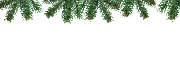 Wall Mural - christmas tree branches in png isolated on transparent background, border