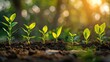© ALIS ST - A row of seedlings growing in a well-tended garden, each at different stages of growth, symbolizing the development of ideas leading to a beautiful life.