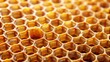 © servoooo - honeycomb-full-of-honey