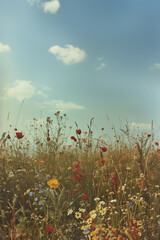 social media photo of the wild energy of the earth and woman. ai generated