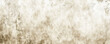 © Volodymyr - A light, parchment texture background with subtle patterns and soft, neutral colors, offering a vintage and elegant look.