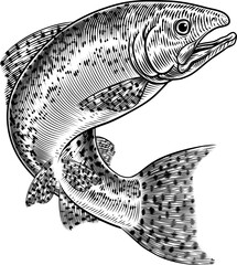 Wall Mural - A salmon fish in a vintage antique etched woodcut style, fishing concept.