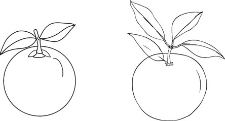 Aufkleber - A continuous one-line drawing of Orange Fruit with a Leaf. A slice of orange fruit is hand drawn in one line art modern illustration.