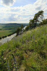 Canvas Print - Naturschutzgebiet Grainberg-Kalbenstein am Main bei Karlstadt, Landkreis Main-Spessart, Unterfranken, Bayern, Deutschland