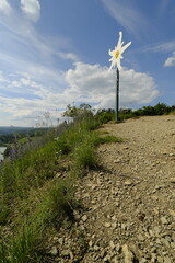 Sticker - Naturschutzgebiet Grainberg-Kalbenstein am Main bei Karlstadt, Landkreis Main-Spessart, Unterfranken, Bayern, Deutschland