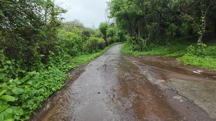 Wall Mural - A rainy scene in Maharashtra featuring a wet road surrounded by vibrant greenery and trees, accompanied by the sound of flowing water.
