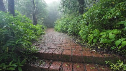 Wall Mural -  Idyllic hiking route in Matheran hill station, showcasing the beauty of the surrounding nature.