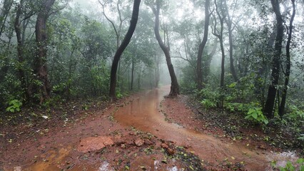 Wall Mural -  Idyllic hiking route in Matheran hill station, showcasing the beauty of the surrounding nature.