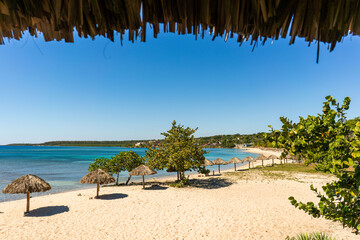 Rancho Luna beach with palm trees and umbrellas