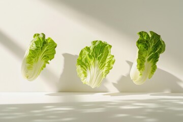 Three Green Bok Choy Leaves in Sunlight. Food advertising.