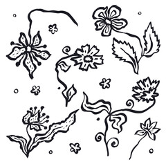 Wall Mural - Ink brush abstract flowers sketches set isolated on white. Black silhouettes of doodle florals